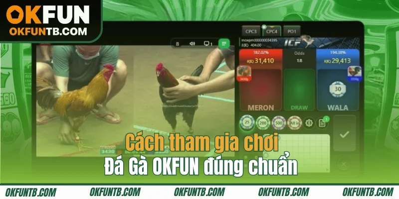 Cách tham gia cá cược đá gà tại OKFUN
