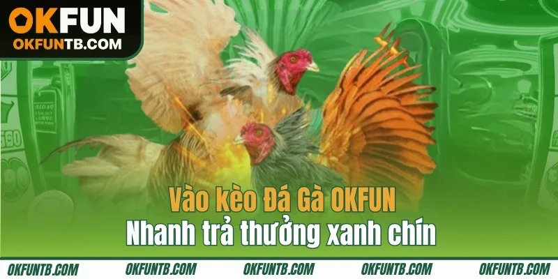 Vào kèo Đá Gà OKFUN dễ dàng và cực kỳ an tâm