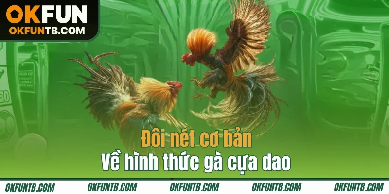 Tìm hiểu về loại hình cược gà cựa dao
